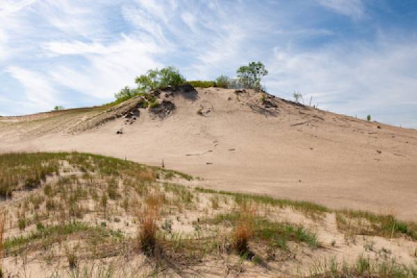 sand dune at warren dunes state park