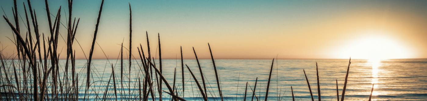 reed grasses at Lake Michigan with sunset in distance